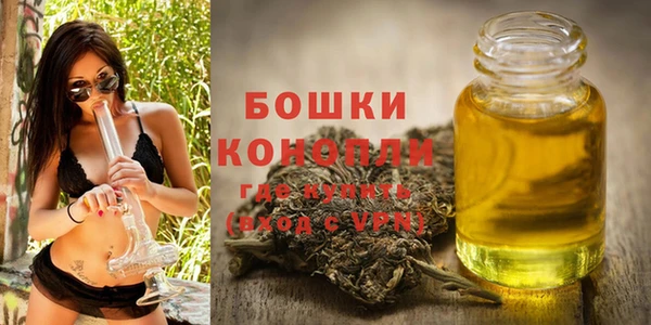 тгк Володарск