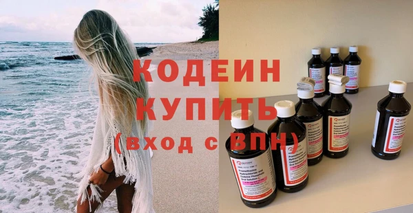 прущие грибы Вяземский