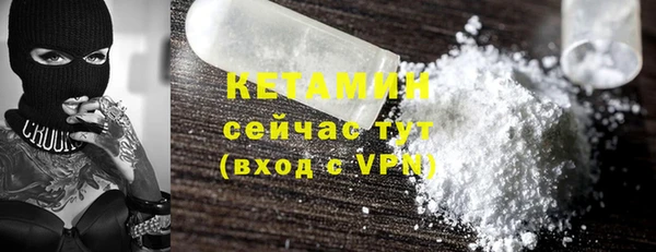 прущие грибы Вяземский