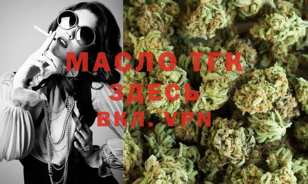 прущие грибы Вяземский