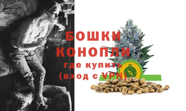 прущие грибы Вяземский