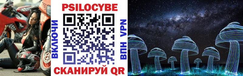 купить   Ижевск  Галлюциногенные грибы Psilocybine cubensis 